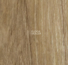 Кварцвиниловые полы Forbo Effekta Professional 0.45 4114 P Classic Authentic Oak PRO фото 1 | FLOORDEALER